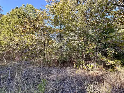 134 Thrush Rd, Mabank, TX 75156 photo 2