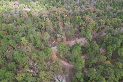 tbd Stag Rd, Gilmer, TX 75644 photo 21