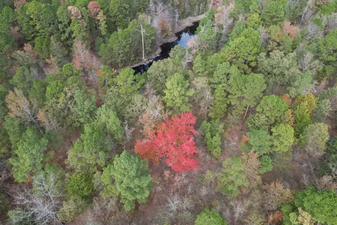 tbd Stag Rd, Gilmer, TX 75644 photo 23