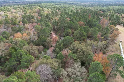 tbd Stag Rd, Gilmer, TX 75644 photo 20