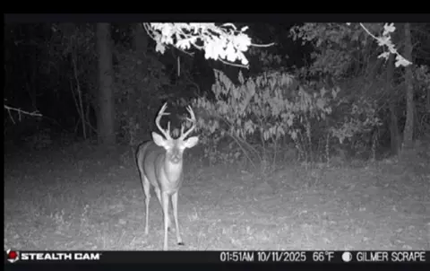 tbd Stag Rd, Gilmer, TX 75644 photo 5