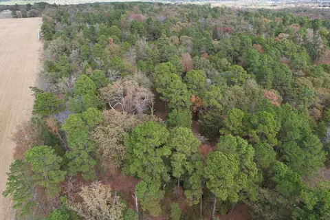 tbd Stag Rd, Gilmer, TX 75644 photo 19