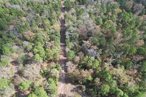 tbd Stag Rd, Gilmer, TX 75644 photo 14