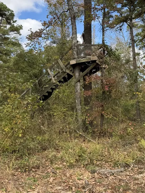 tbd Stag Rd, Gilmer, TX 75644 photo 10