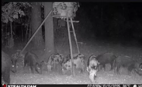 tbd Stag Rd, Gilmer, TX 75644 photo 7