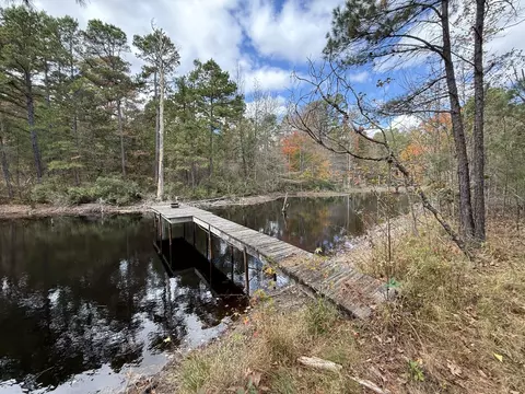 tbd Stag Rd, Gilmer, TX 75644