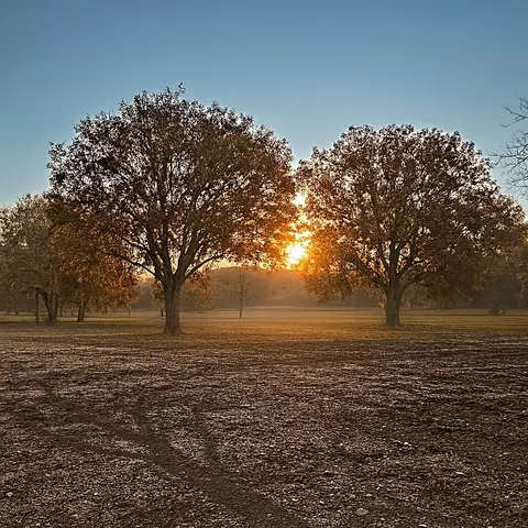647 County Road 4642, Trenton, TX 75490