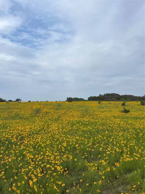 0000 Bison Ridge Dr #LOT 155, Stephenville, TX 76401
