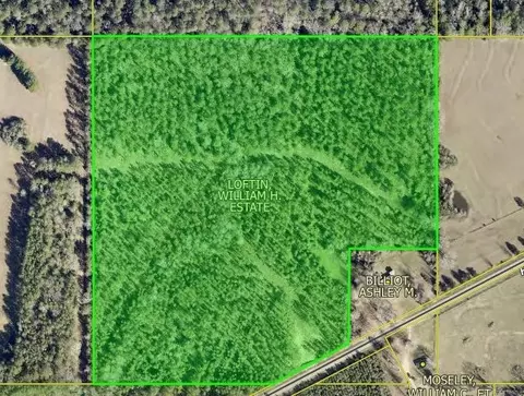 tbd Highway 155, Coushatta, LA 71019 photo 6