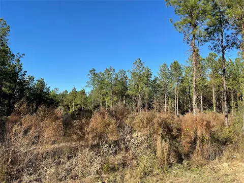 tbd Highway 155, Coushatta, LA 71019 photo 5
