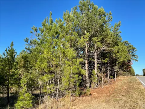 tbd Highway 155, Coushatta, LA 71019 photo 4