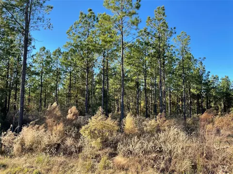 tbd Highway 155, Coushatta, LA 71019 photo 3
