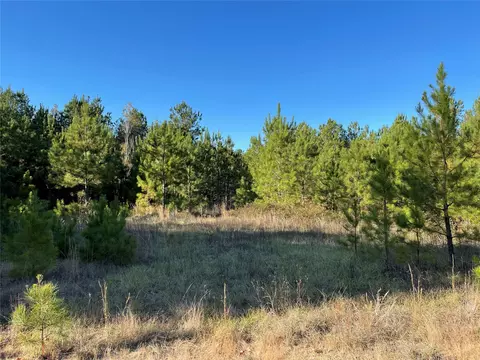 tbd Highway 155, Coushatta, LA 71019 photo 2