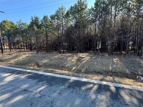 137 Pine Hills Ln, Gordonville, TX 76245