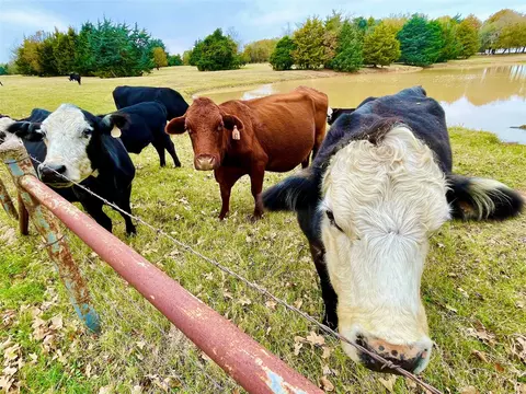 Other - 945 Brickyard Rd, West, TX 76691 photo 1 of 4