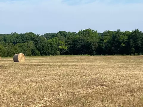 17560 E Fm 1396, Windom, TX 75492 photo 14