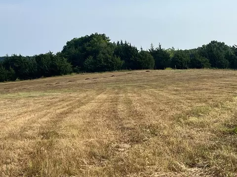 17560 E Fm 1396, Windom, TX 75492 photo 16