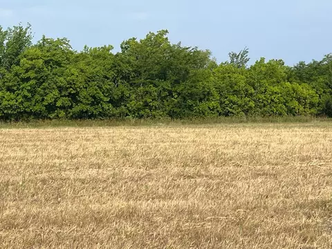 17560 E Fm 1396, Windom, TX 75492 photo 13