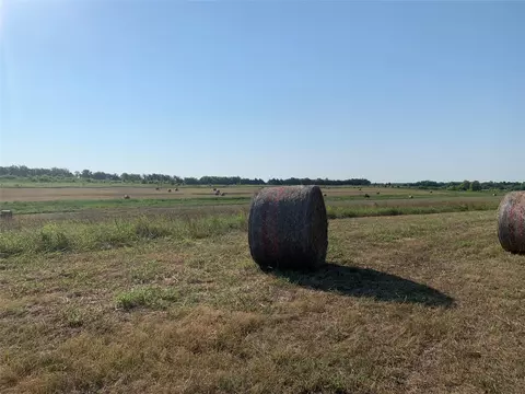 17560 E Fm 1396, Windom, TX 75492 photo 7