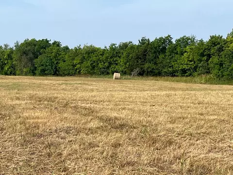 17560 E Fm 1396, Windom, TX 75492 photo 12