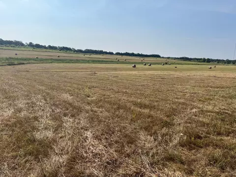 17560 E Fm 1396, Windom, TX 75492 photo 9