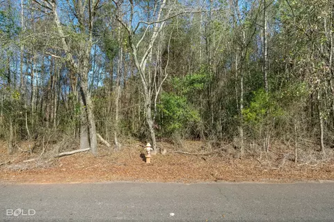 lot8 Mockingbird Ln, Plain Dealing, LA 71064 photo 4