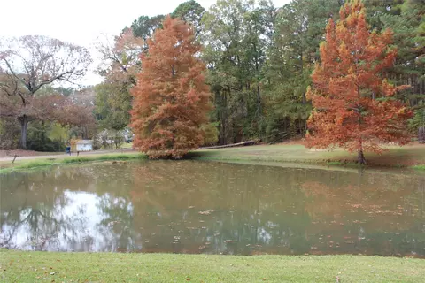 1401 Hinton St, Minden, LA 71055 photo 27
