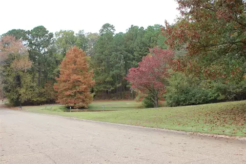 1401 Hinton St, Minden, LA 71055 photo 39