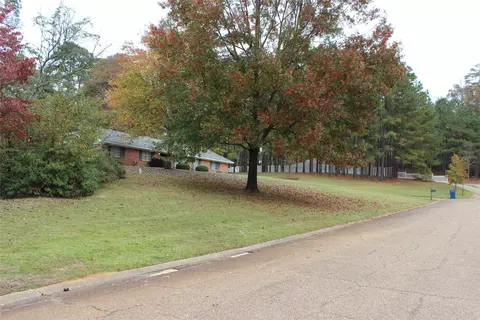 1401 Hinton St, Minden, LA 71055 photo 38