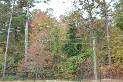 1401 Hinton St, Minden, LA 71055 photo 28