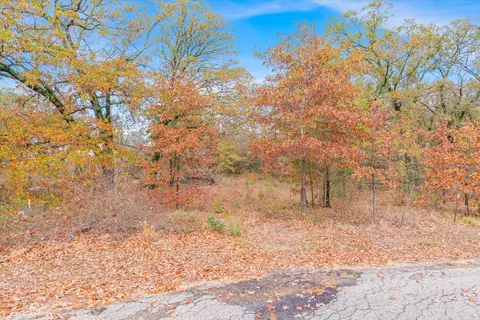 tbd Private Road 6374 Rd, Alba, TX 75410