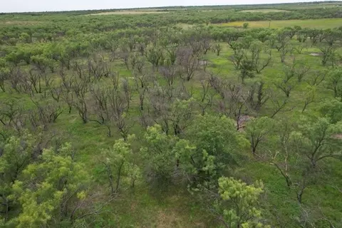 tbd Fm 600, Anson, TX 79501 photo 10
