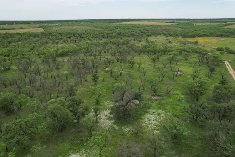 tbd Fm 600, Anson, TX 79501 photo 12