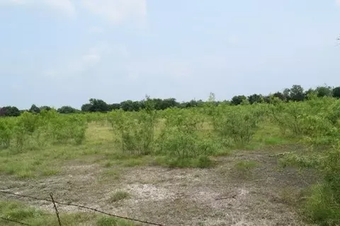 0 Cr-283, Terrell, TX 75160 photo 2