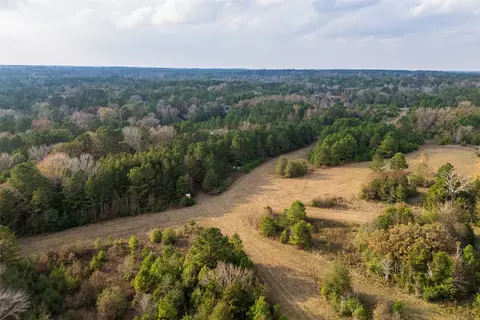 00 Farm To Market Road 228, Grapeland, TX 75844