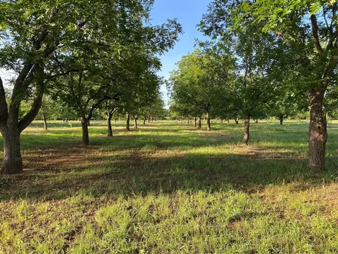751 County Road 424, Comanche, TX 76442 photo 22