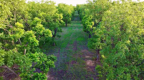 751 County Road 424, Comanche, TX 76442 photo 5