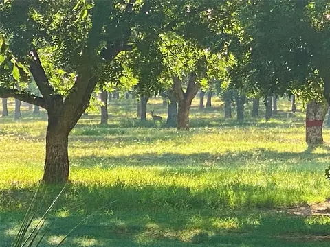 751 County Road 424, Comanche, TX 76442 photo 24