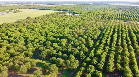 751 County Road 424, Comanche, TX 76442 photo 7
