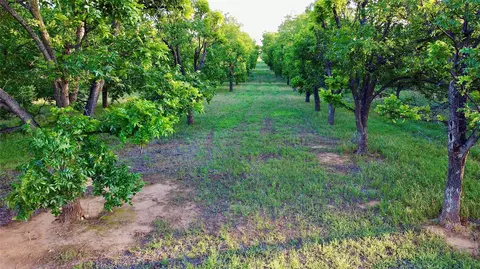 751 County Road 424, Comanche, TX 76442 photo 6