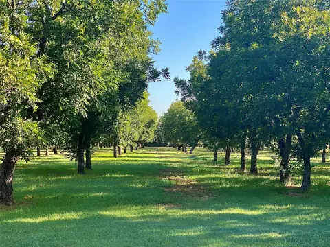 751 County Road 424, Comanche, TX 76442 photo 23