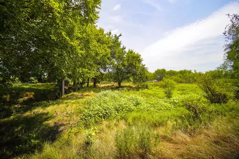 29 47 Acres Ballard Rd, Jacksboro, TX 76458