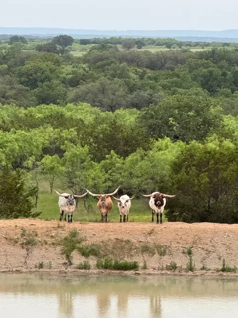 1473 Highway 16 S, Strawn, TX 76475 photo 10