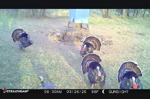 tbd County Road 154, Breckenridge, TX 76424