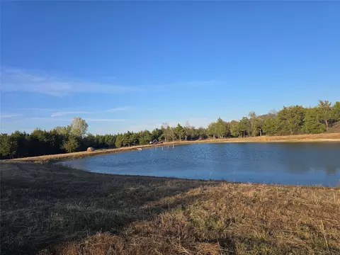 42 Acres Fm 38 Tx, Honey Grove, TX 75446