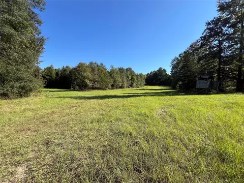 tbd Cr 1579, Avinger, TX 75630