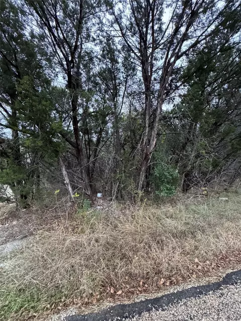 1013 Comanche Cove Dr, Granbury, TX 76048