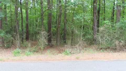 0 Shiloh, Springhill, LA 71075 photo 5