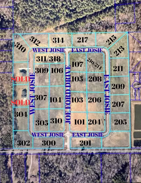 209 E Josie Ln, Haughton, LA 71037 photo 2
