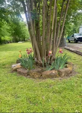 307 E Bois D Arc St, Leonard, TX 75452